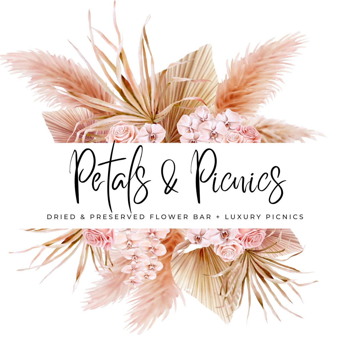 Adelaide Dried & Preserved Flowers Petals & Picnics